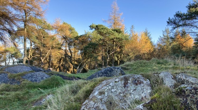 The cairn