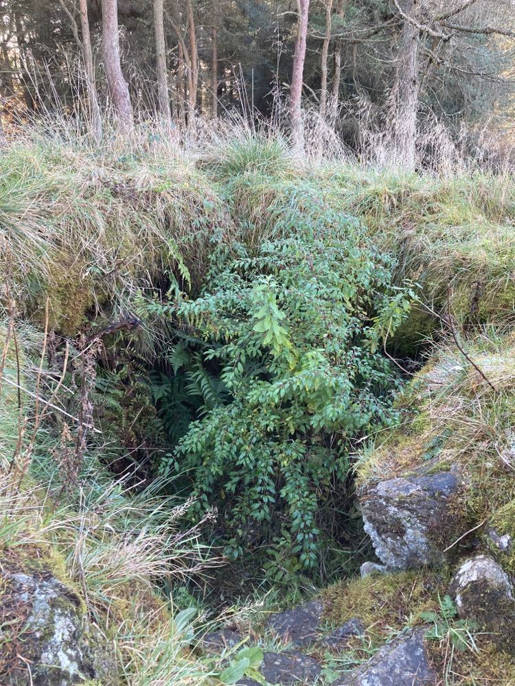 cairn entrance